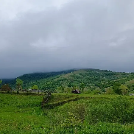 Eco