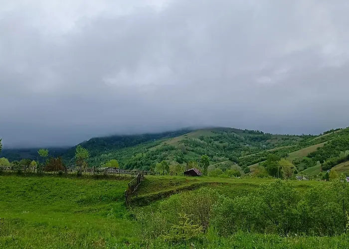 Eco
